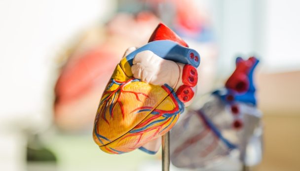 jesse-orrico-Us3AQvyOP-o-unsplash