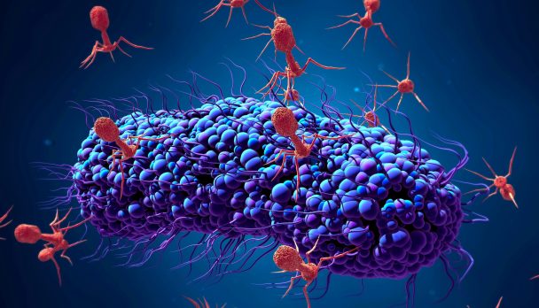 shutterstock_1126283543