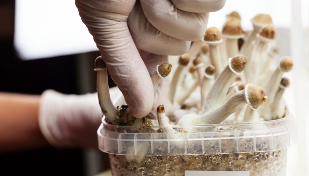 shutterstock_1364558297