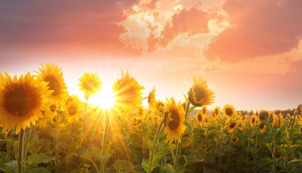 timothy-eberly-XVE2eMZGrhk-unsplash